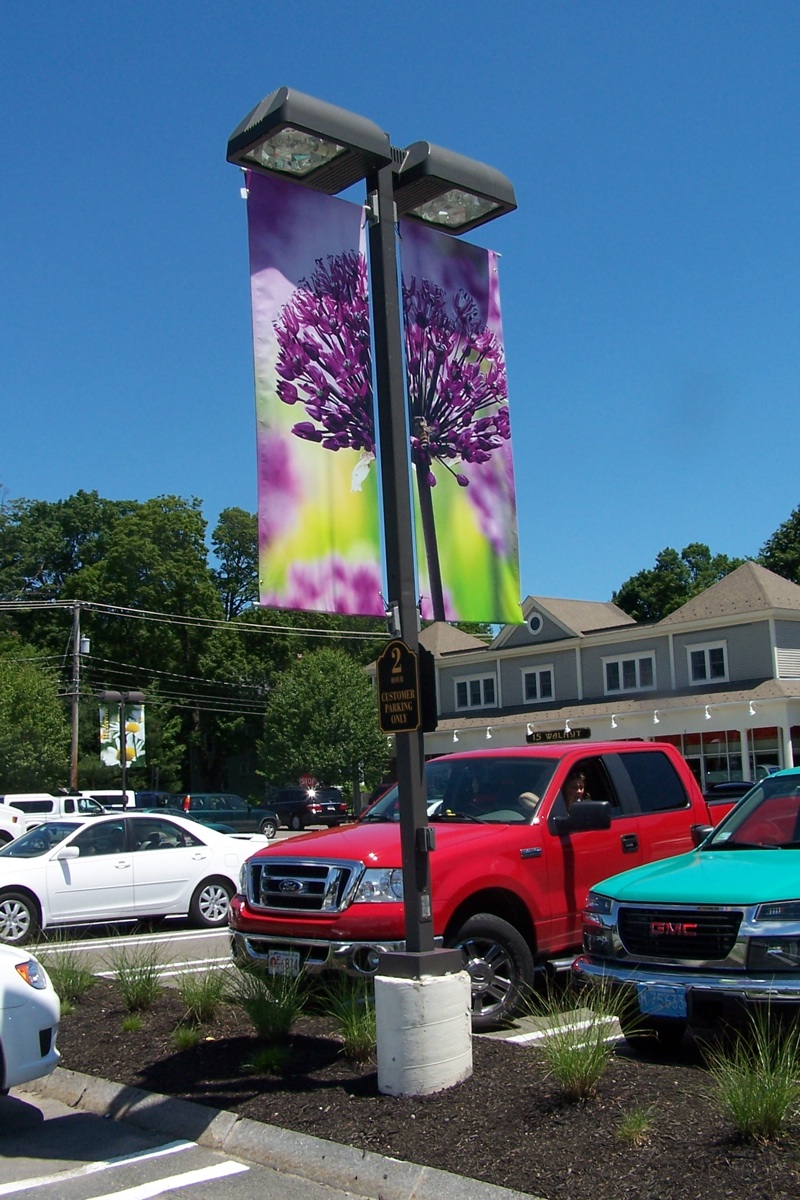 Hamilton Plaza - Printed Banners