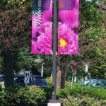 Hamilton Plaza - Printed Banners