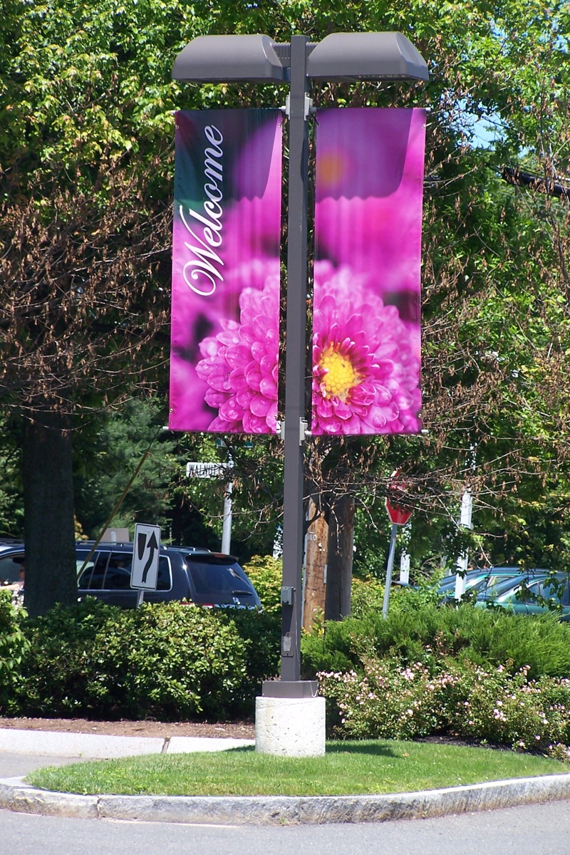 Hamilton Plaza - Printed Banners