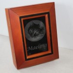 Pet Memories - Custom Box